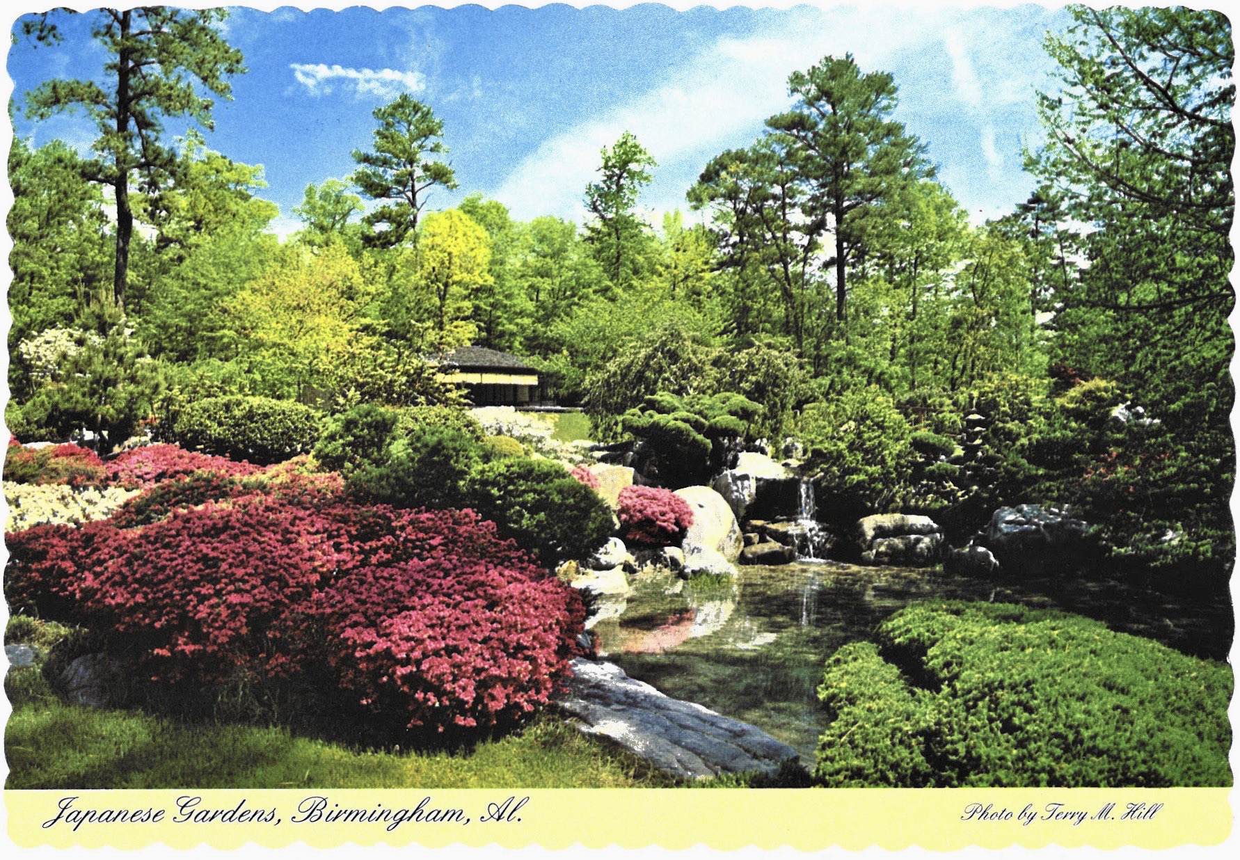 A Look at the History of the Birmingham Botanical Gardens Through