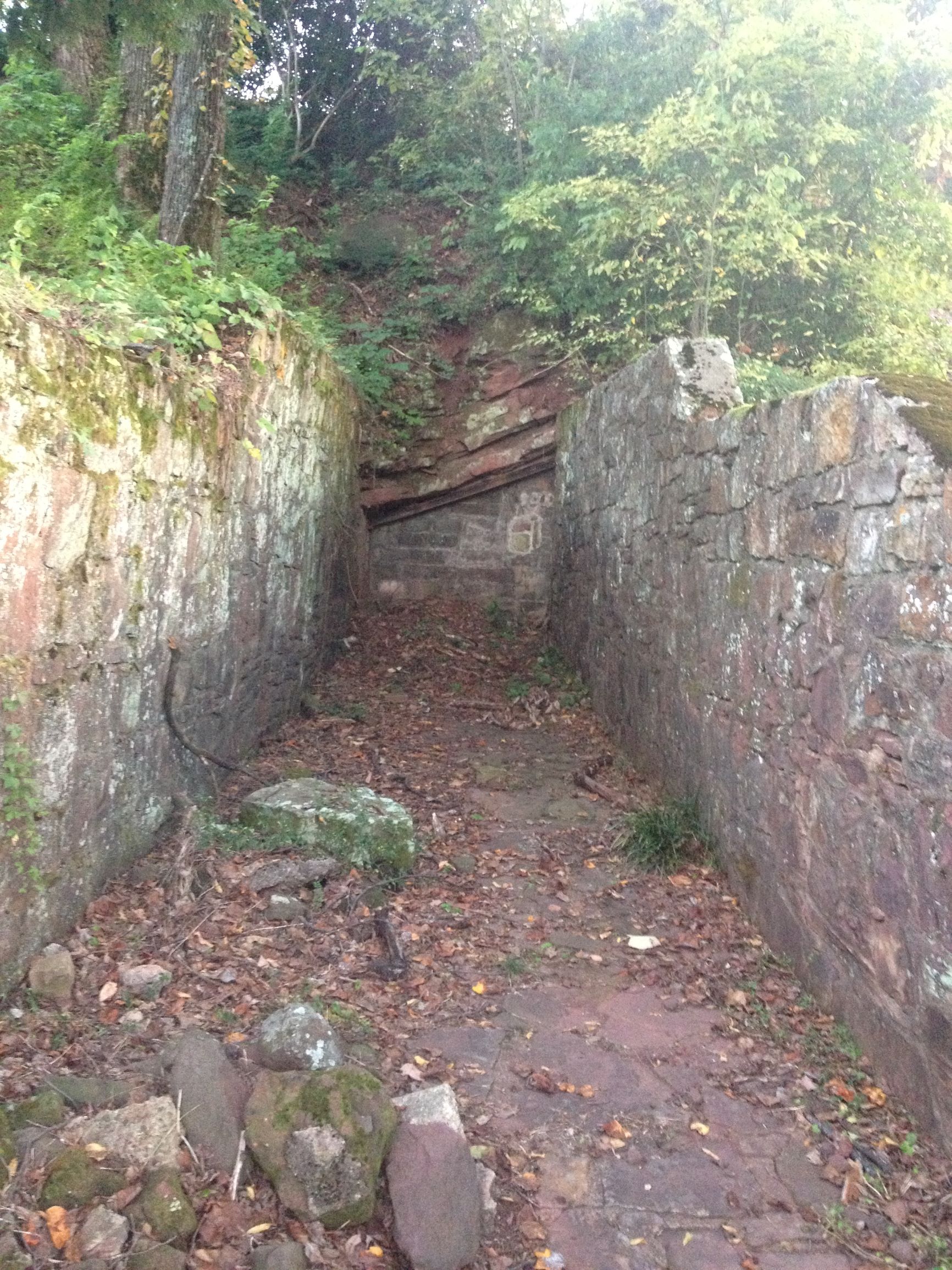 Walkway leading up to entrance to a small mine. Entrance is barred by bricks. Rock walls line the walkway. There are lots of leaves, vines, and fallen rock. 