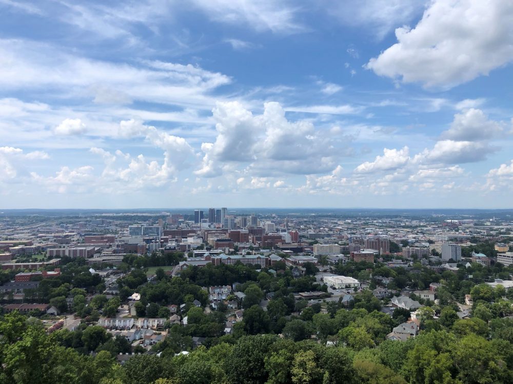 Volunteering and its Rewards A Volunteer’s Perspective Vulcan Park