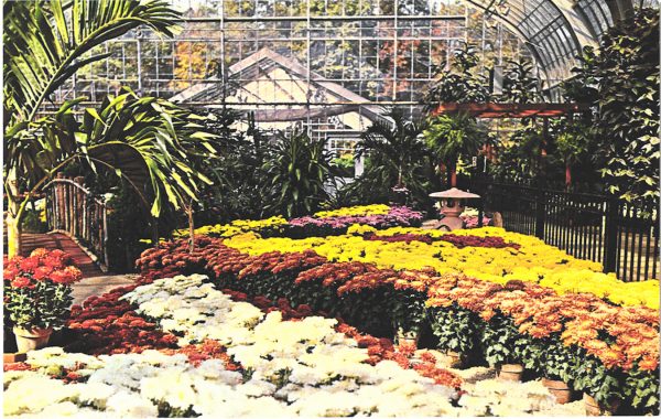 Inside of a glass walled greenhouse. Many flowers in shades of yellow, orange, and white are surrounded by large tropical trees