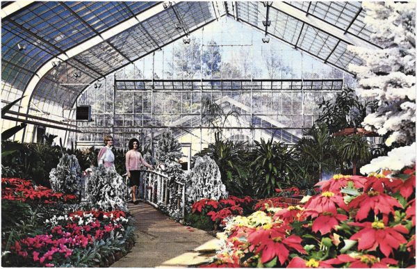 Inside a large, glass walled greenhouse. Red, pink, and white flowers are surrounded by green ferns